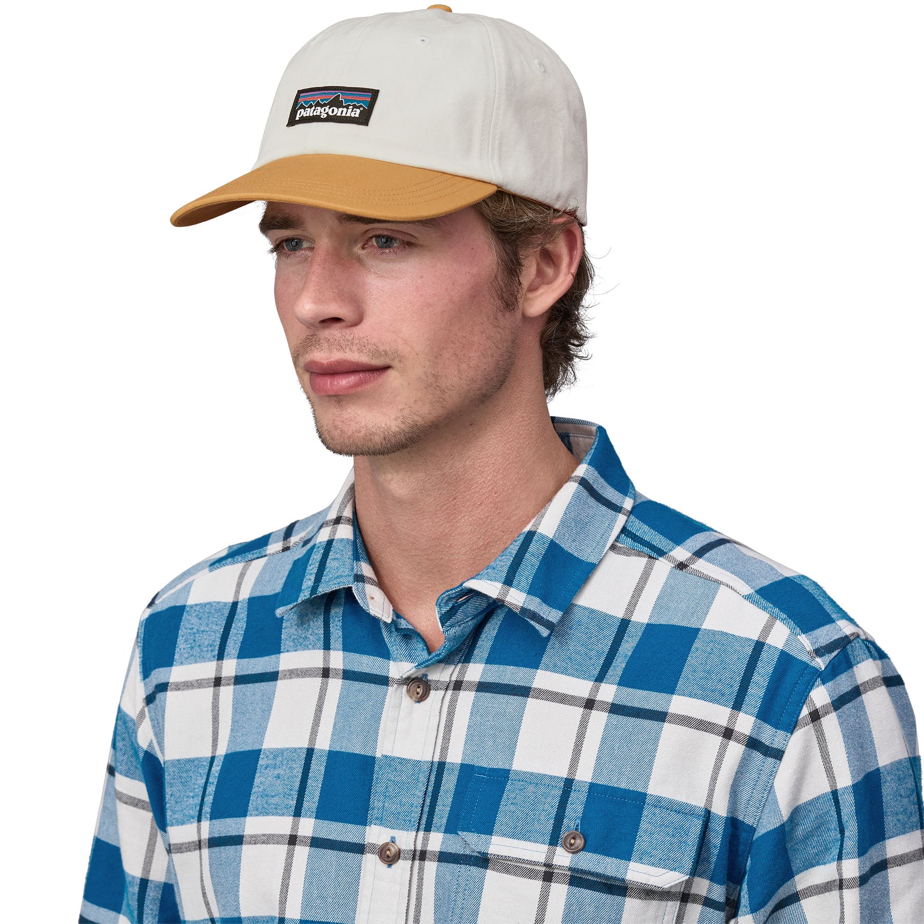 Alternative view of P-6 Label Trad Cap