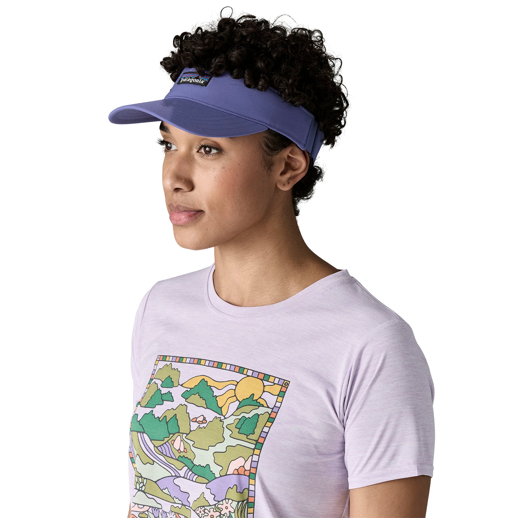 Alternative view of Terrebonne Visor