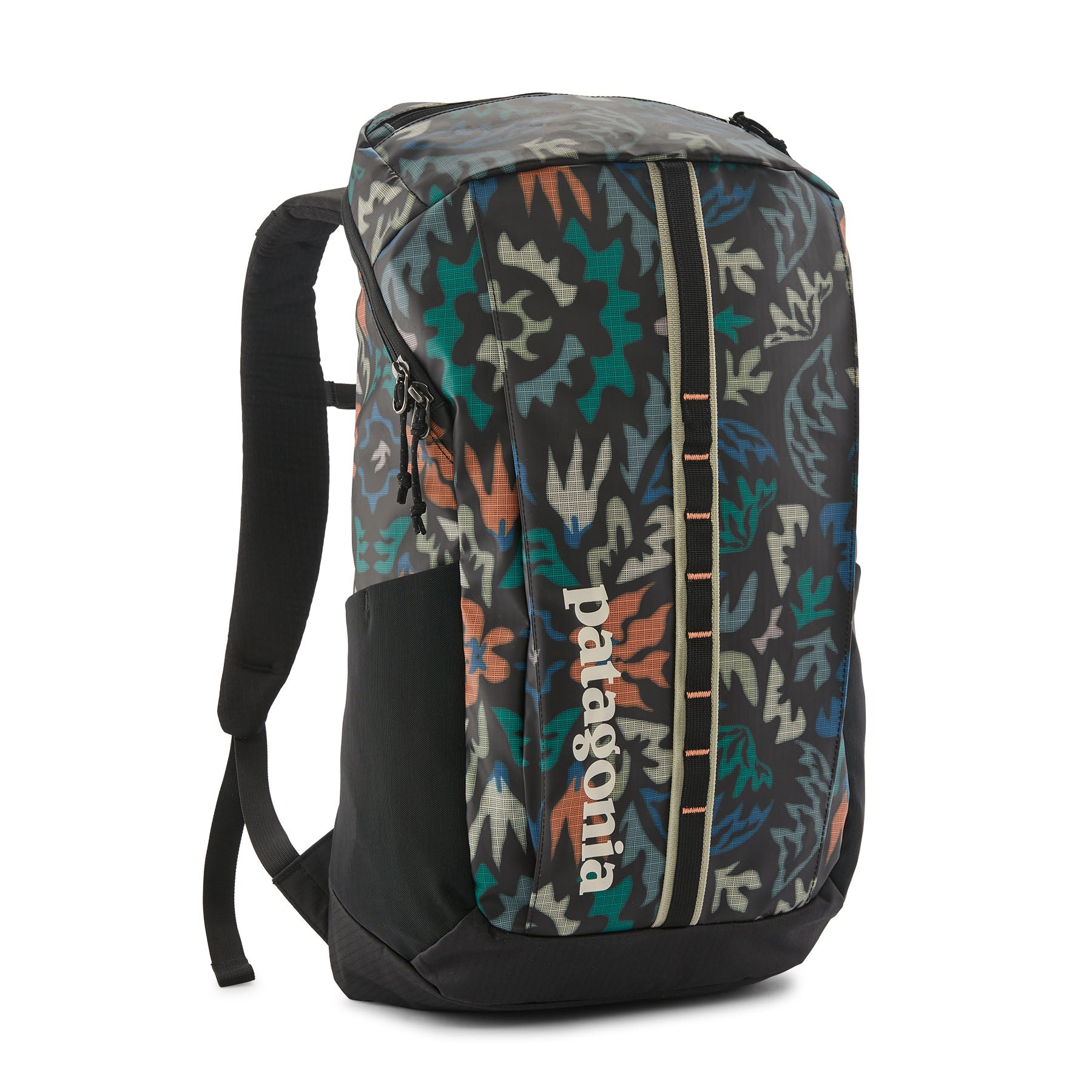 Black Hole Pack 25L